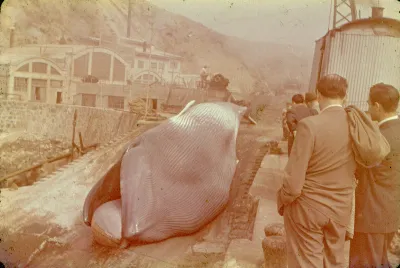 Ballenera de Quintay
