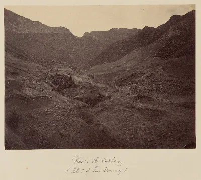 Interior de la Isla Robinson Crusoe, Archipiélago Juan Fernández, 1860 — 1860 | Chile de Ayer