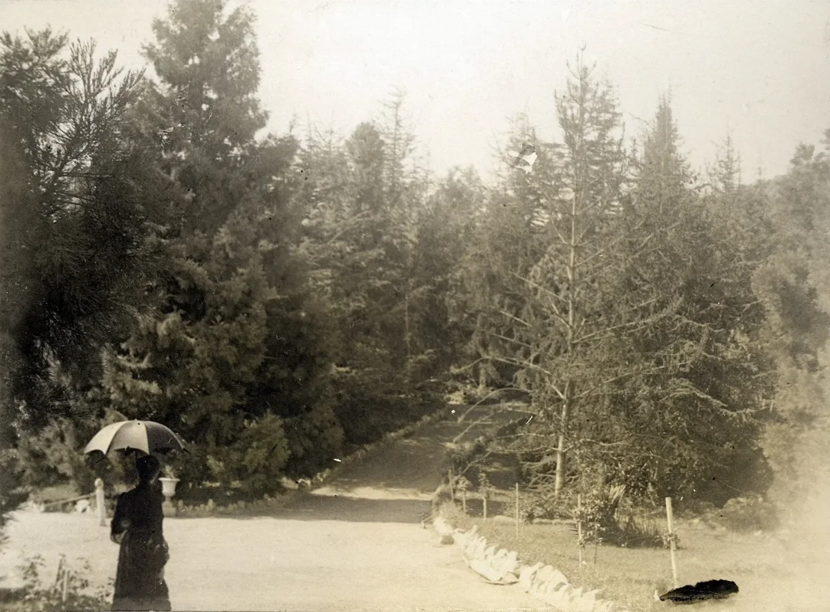 Parque Las Majadas de Pirque, CA 1901 — Las Majadas de Pirque — 1901 | Chile de Ayer