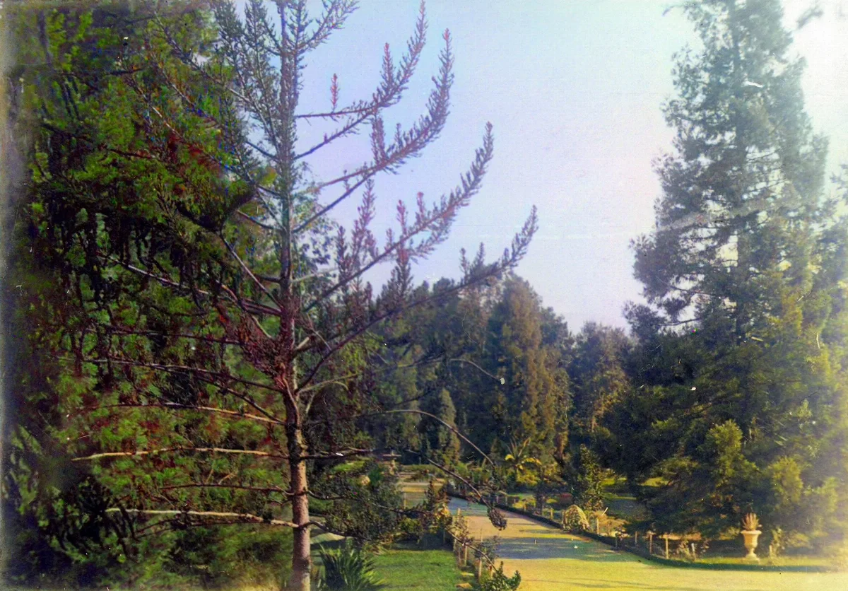 Parque Las Majadas de Pirque, CA 1901 — 1901 | Chile de Ayer