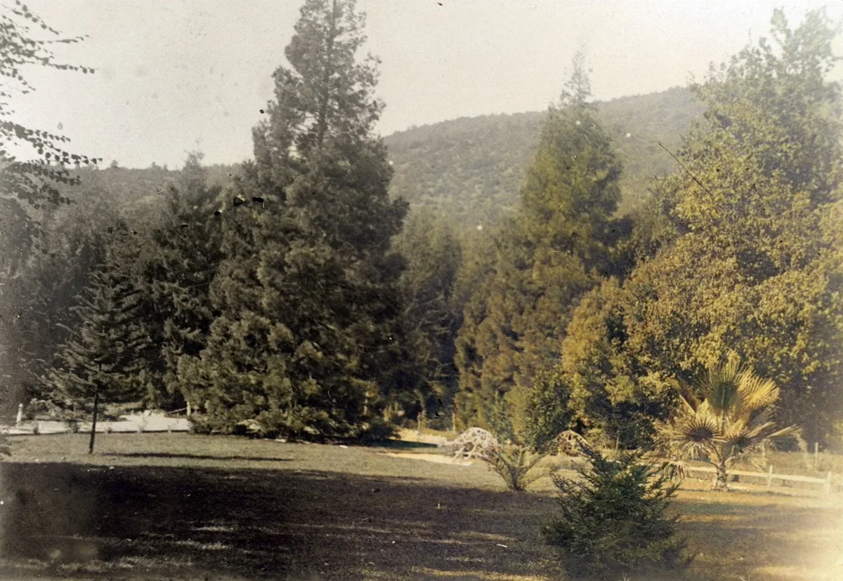 Parque Las Majadas de Pirque, CA 1901 — Las Majadas de Pirque — 1901 | Chile de Ayer