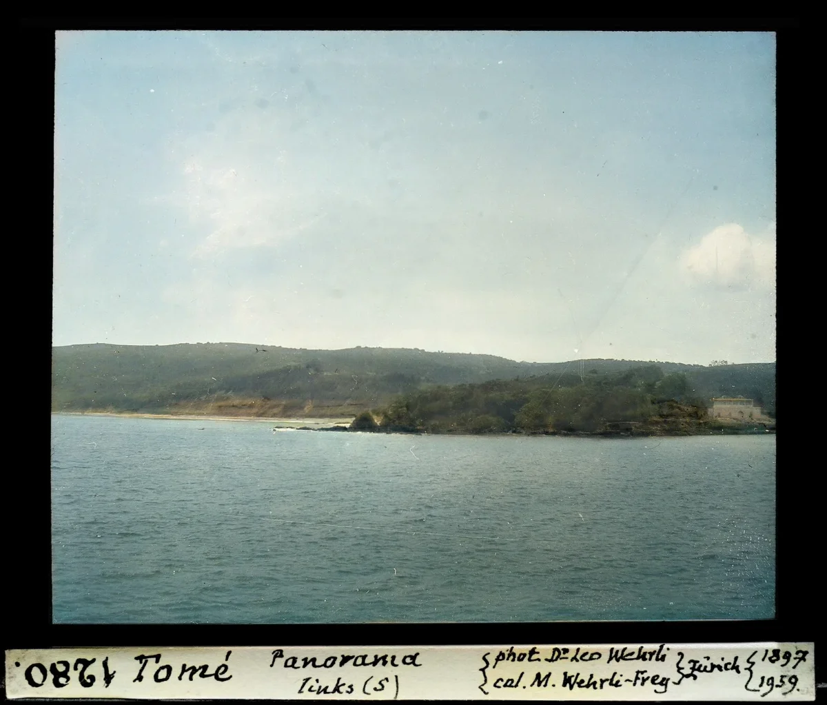 Panorama sur de Tome, costa arbolada y acantilados sobre el mar, diapositiva coloreada de 1897 — aprox. 1897–1940 | Chile de Ayer