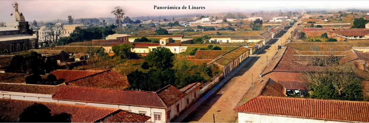 Panorámica Linares en 1900 — Calle Maipú — 1900 | Chile de Ayer