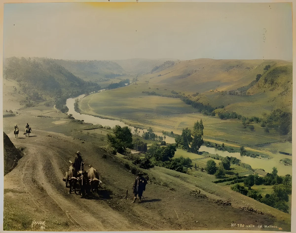 Valle del Malleco. Año 1884 aproximadamente. — Valle del Malleco — 1884 | Chile de Ayer