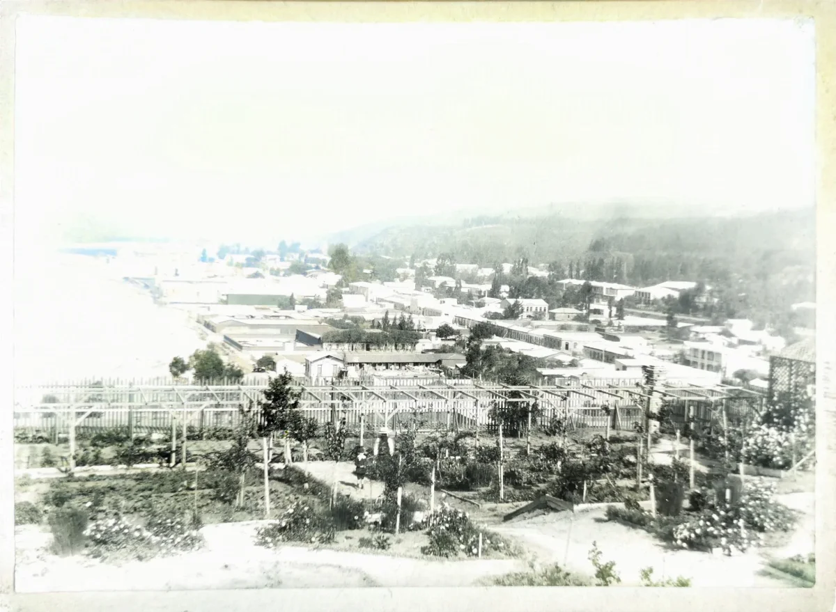 Viña del Mar desde Cerro Castillo, 1904 — 1904 | Chile de Ayer