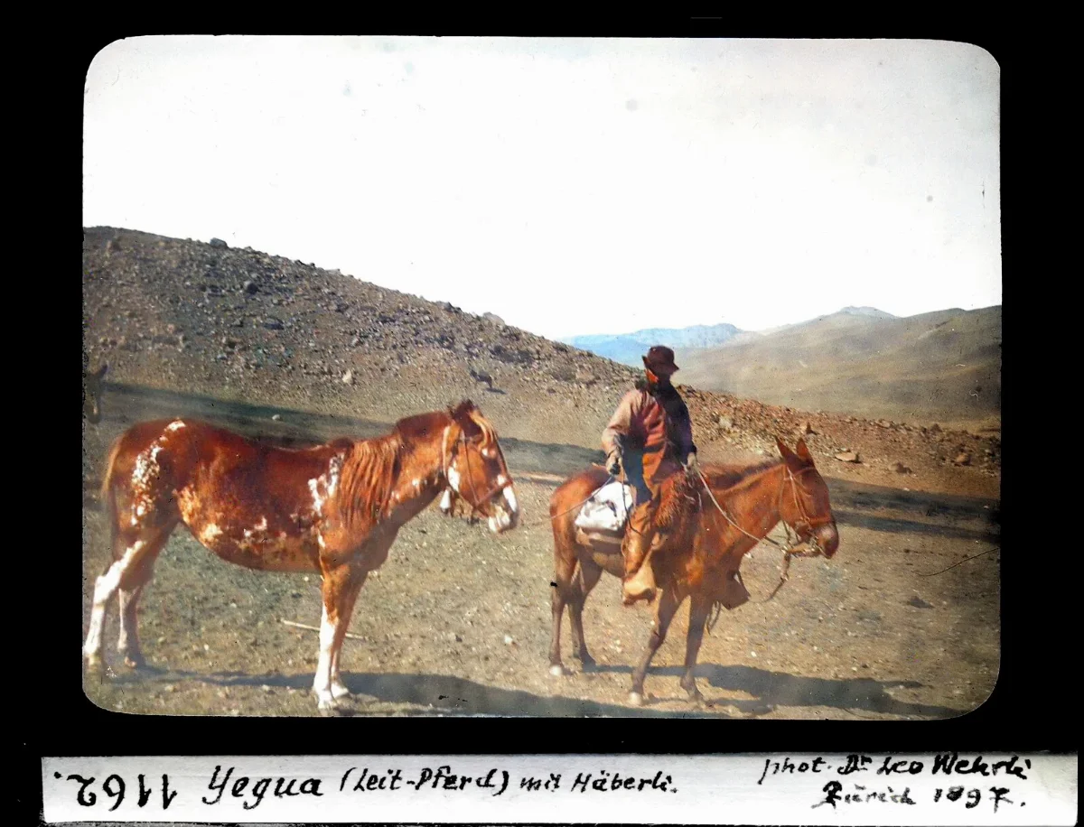 Jinetes con caballos — aprox. 1897–1940 | Chile de Ayer