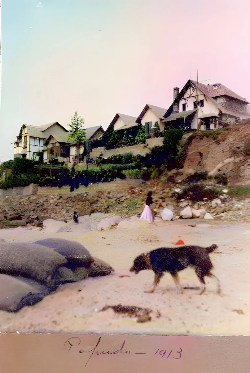 Casas en Papudo, 1913 — Costanera de Papudo — 1913 | Chile de Ayer