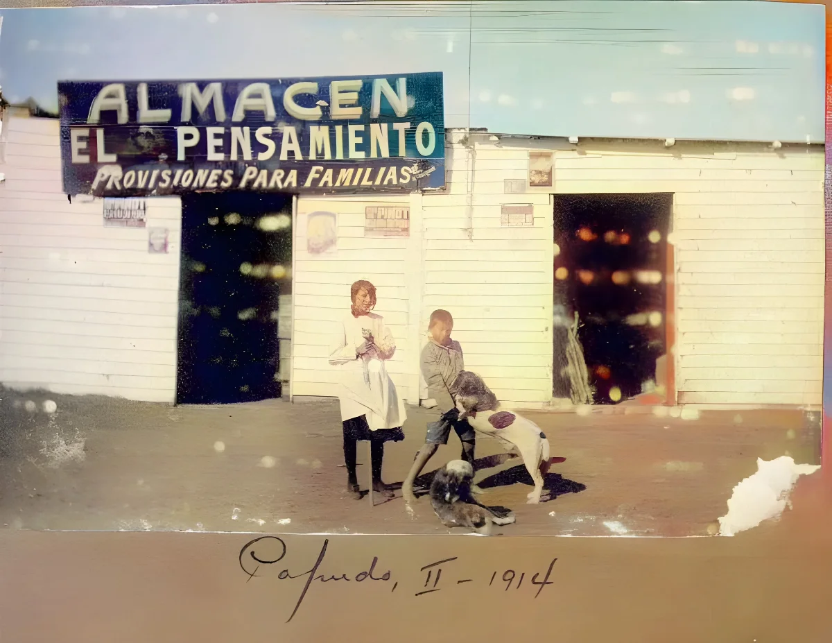 Almacén "El pensamiento", 1914 — 1914 | Chile de Ayer