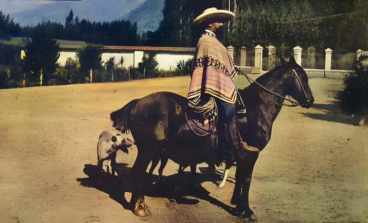 Hacendado chileno, costumbres chilenas — aprox. 1913–1930 | Chile de Ayer