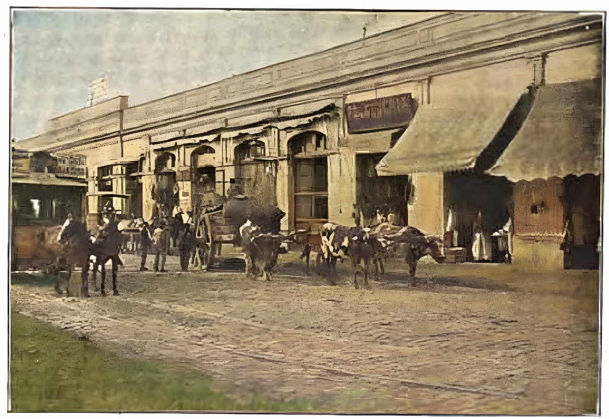 Una calle de Santiago de Chile — Mercado Central de Santiago — aprox. 1907–1930 | Chile de Ayer