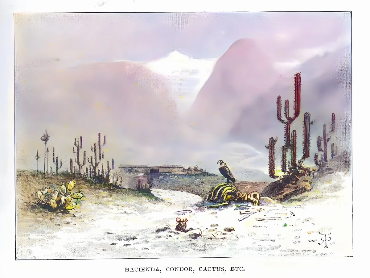 Hacienda, cóndor y cactus en la costa de Chile — aprox. 1890–1930 | Chile de Ayer