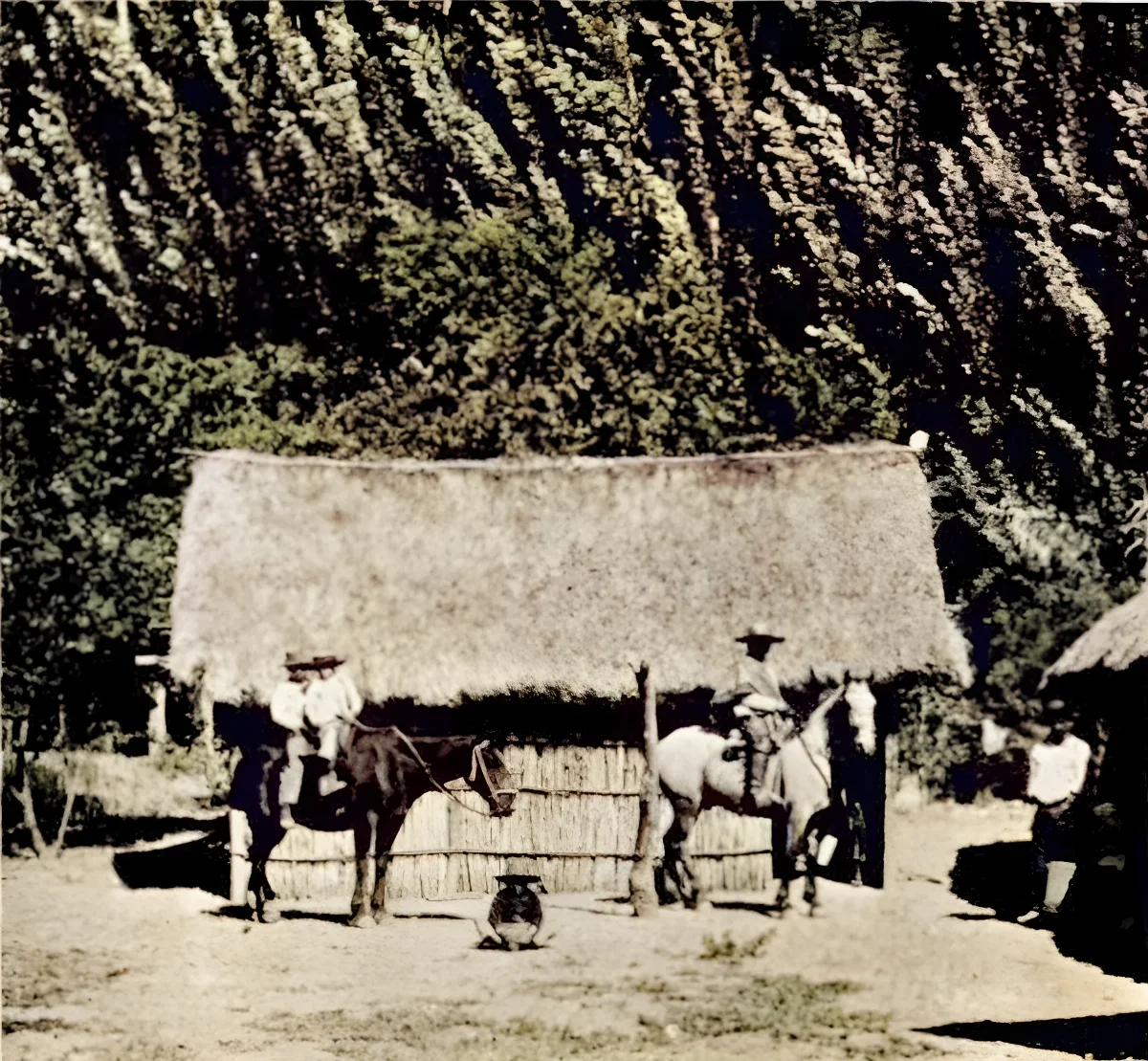 Imagen de Chile — aprox. 1903–1930 | Chile de Ayer