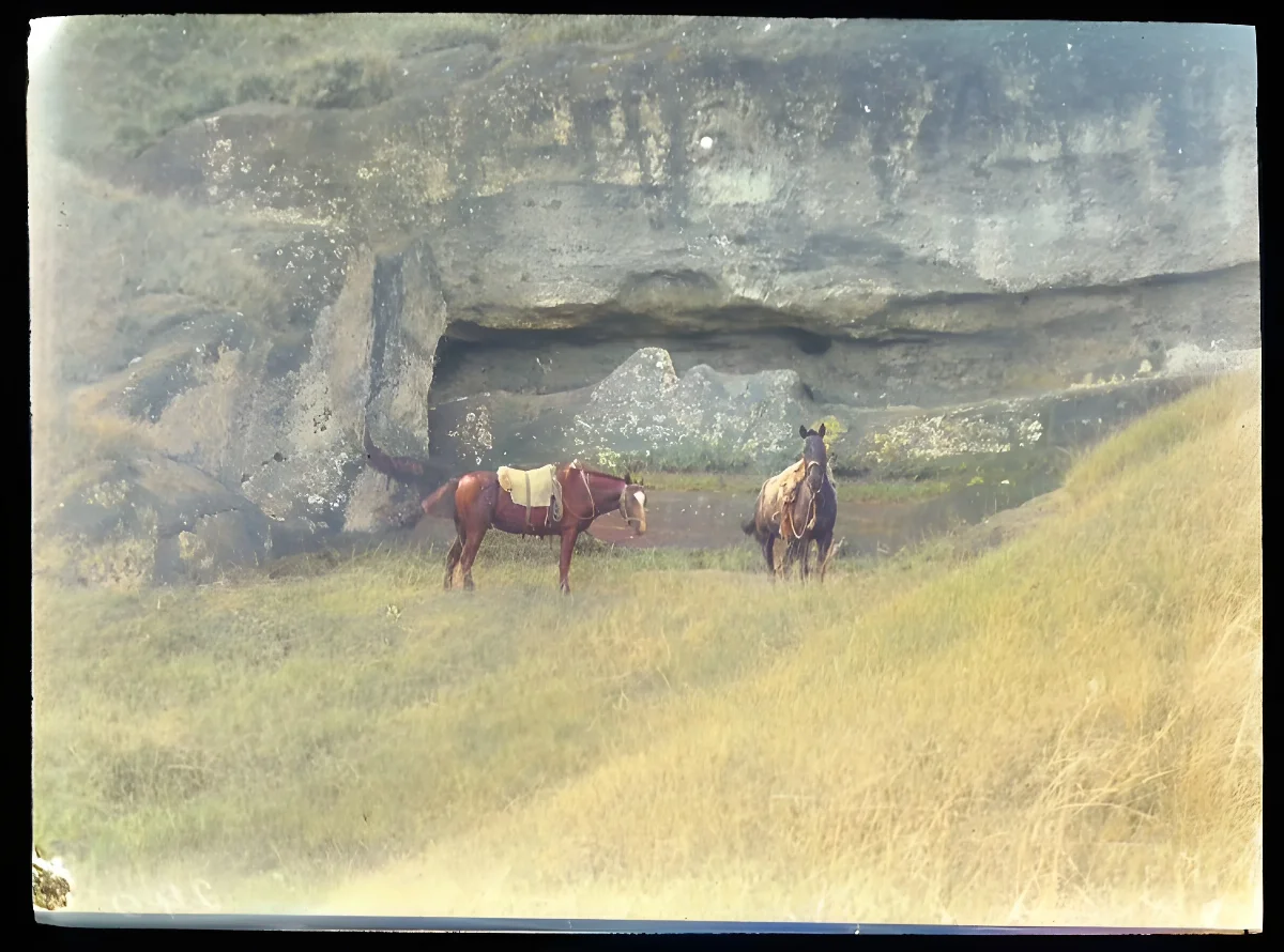 Two horses next to unfinished moai, Rano Raraku, Oc,G.T.1646, Mana Expedition to Easter Island, British Museum — Isla de Pascua — 1914 | Chile de Ayer