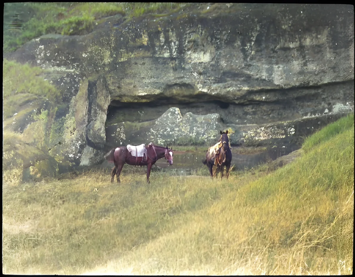 Two horses next to unfinished moai, Rano Raraku, Oc,G.T.2606, Mana Expedition to Easter Island, British Museum — Isla de Pascua — 1914 | Chile de Ayer