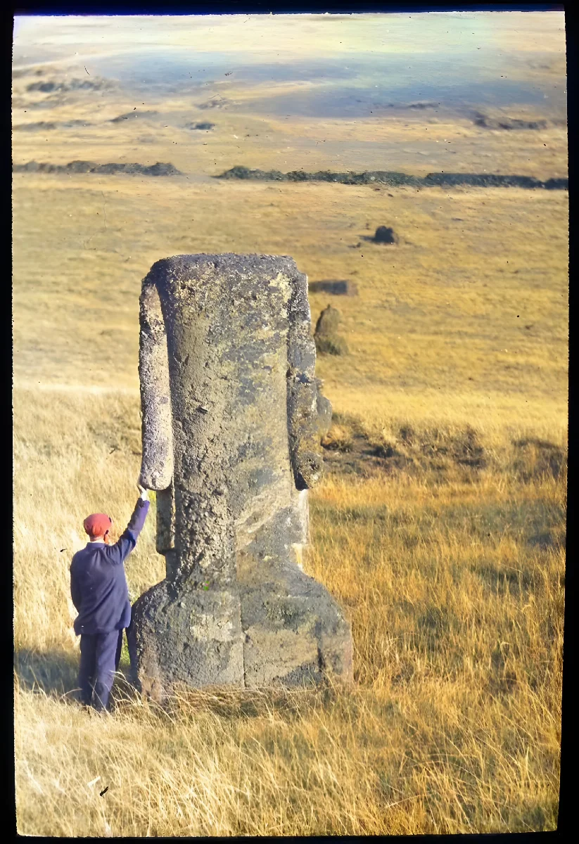 View of a back of moai with a man standing on the left of the sculpture with his back to the camera and one hand on the left earlobe, for scale; Rano Raraku; Oc,G.T.1474, Mana Expedition to Easter Island, British Museum — Isla de Pascua — 1914 | Chile de Ayer