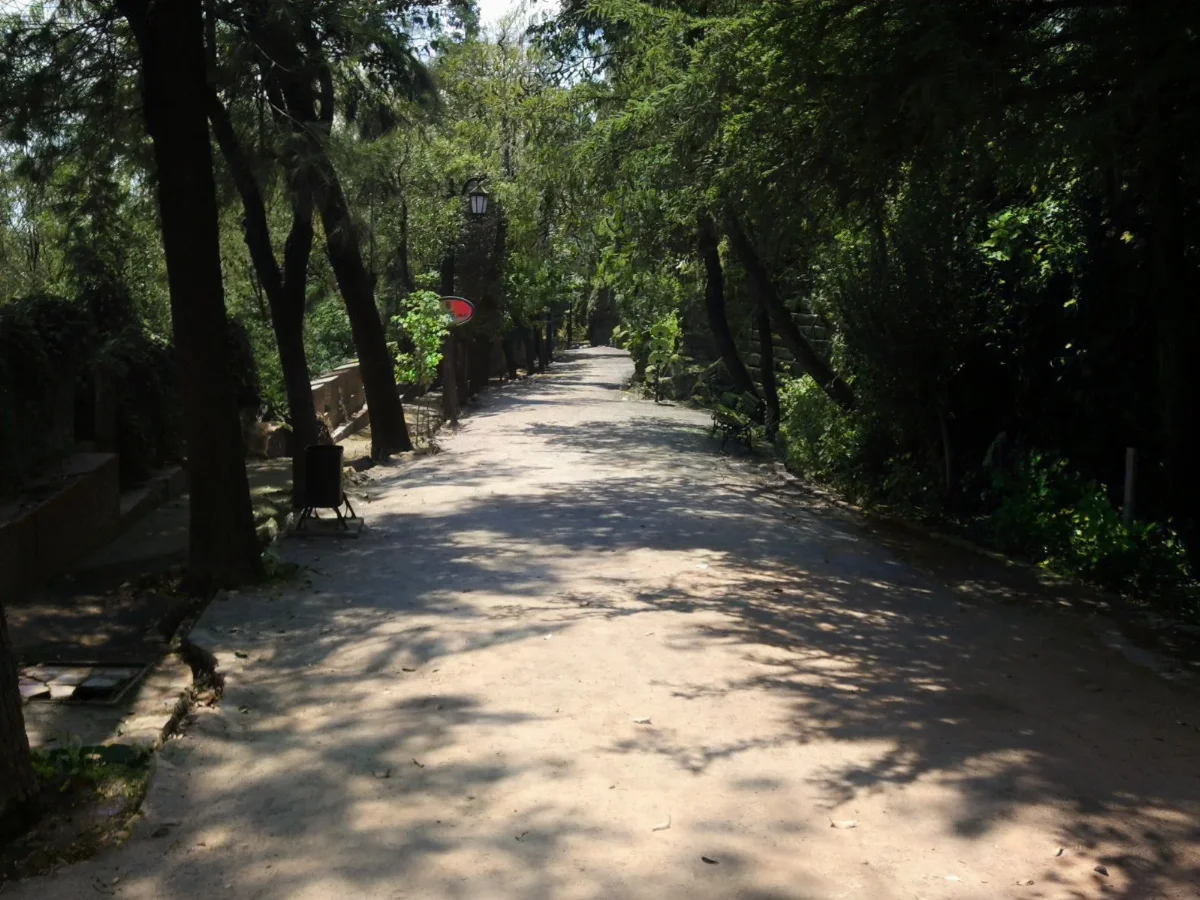 Antiguo Camino del Ferrocarril — aprox. 1880–1930 | Chile de Ayer