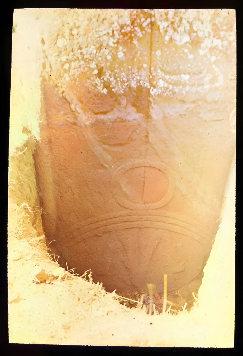 View of the designs on the back of a moai, excavated but still partially in the ground; Rano Raraku, Oc,G.T.1698, Mana Expedition to Easter Island, British Museum — Isla de Pascua — 1914 | Chile de Ayer