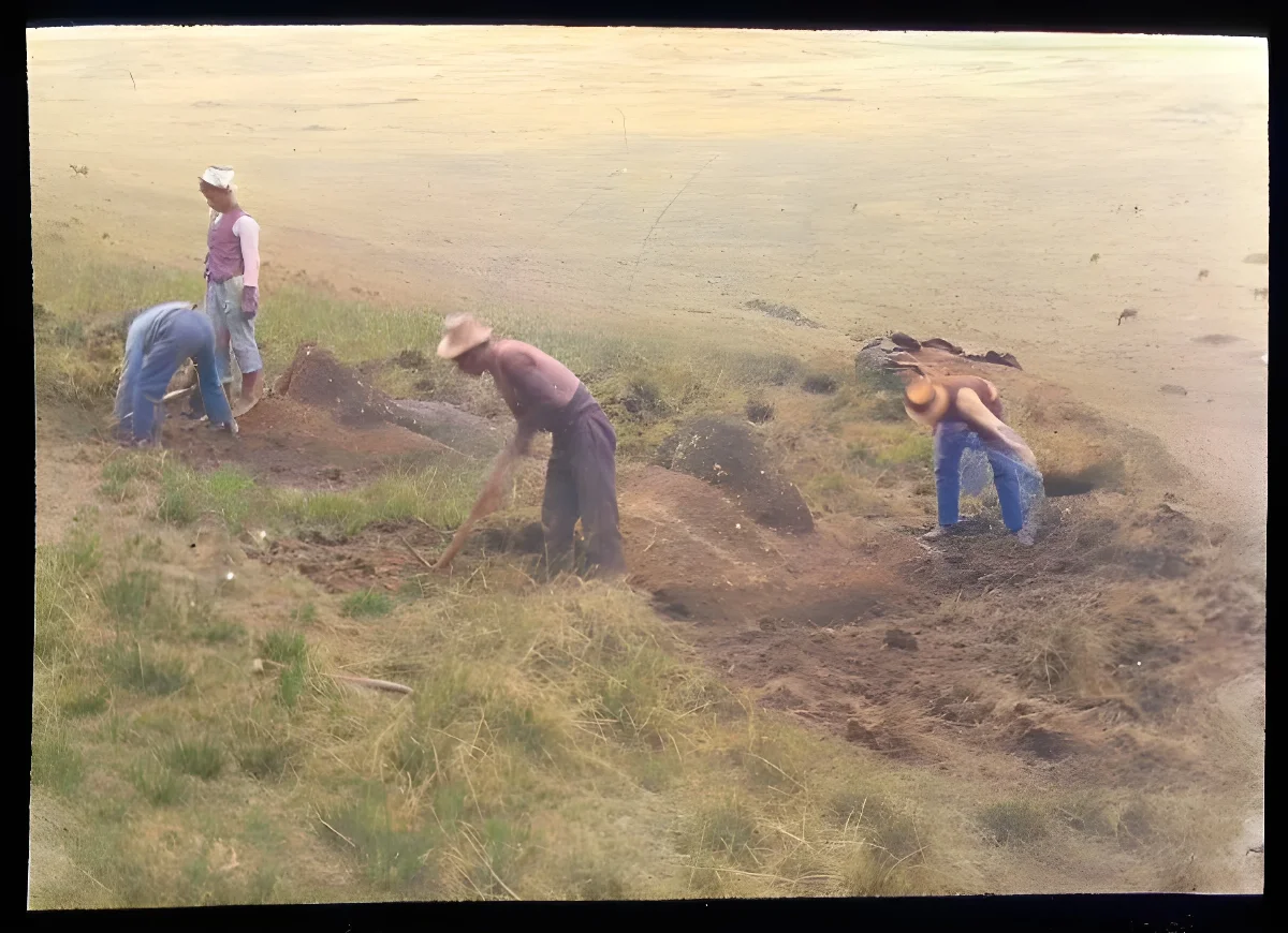 View of three men digging using pick axes to excavate two moai, with one boy watching; Rano Raraku, Oc,G.T.1462, Mana Expedition to Easter Island, British Museum — Isla de Pascua — 1914 | Chile de Ayer