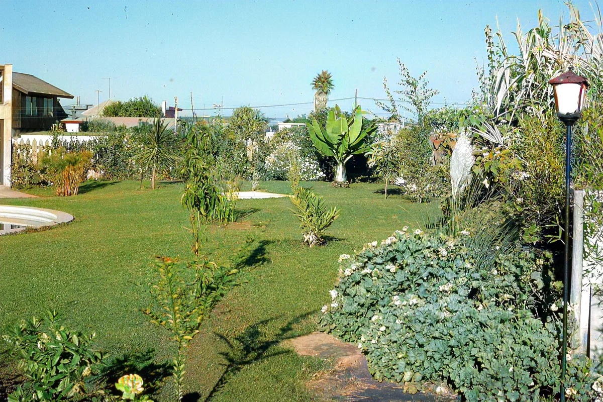 Jardín de casa en 1965 — 1965 | Chile de Ayer