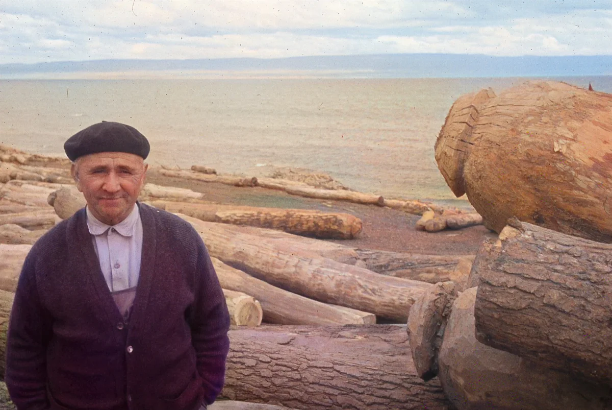 Hombre en el aserradero ca.1965 — 1965 | Chile de Ayer