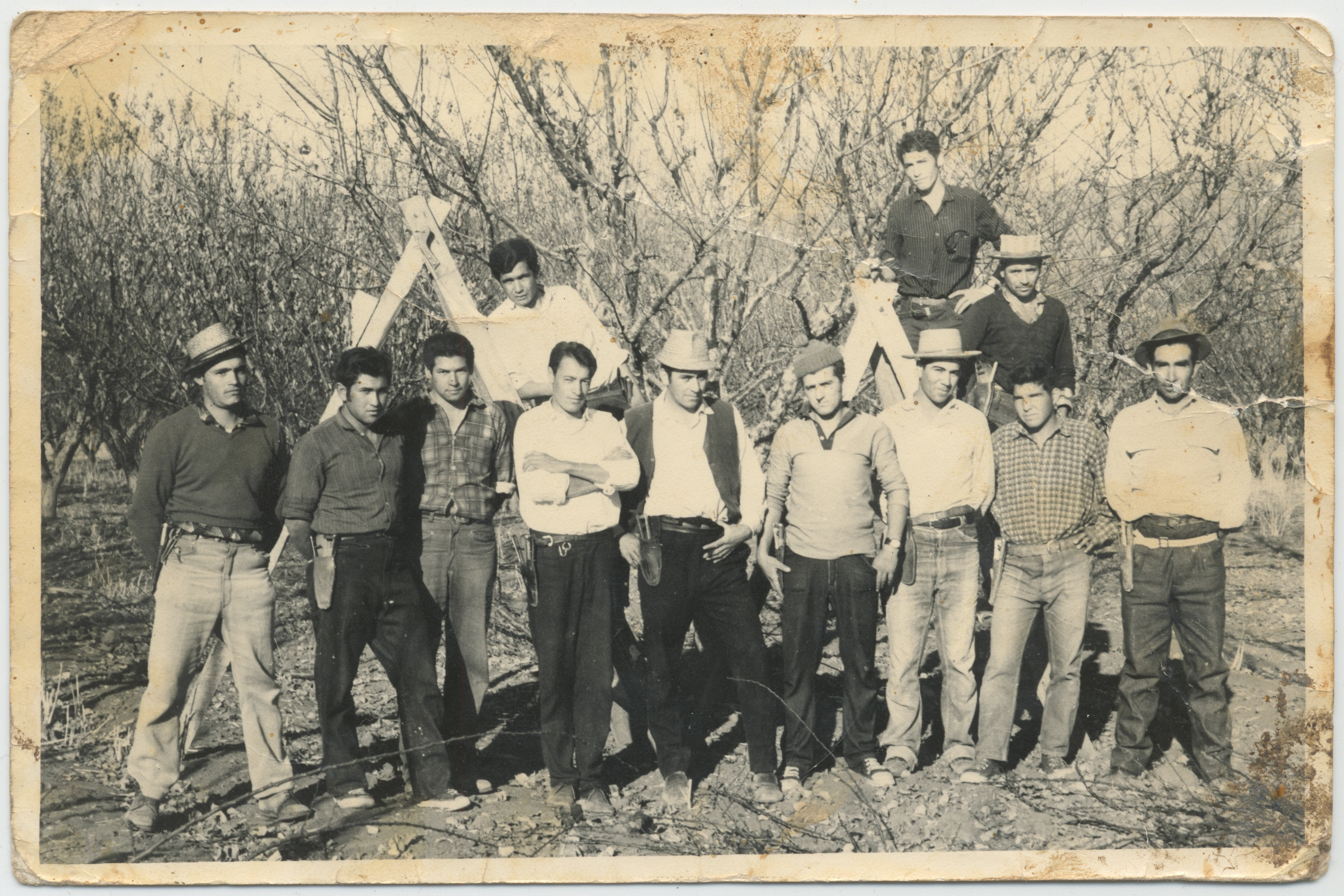 Cuadrilla de trabajadores agricolas — Calle Larga — 1965 | Chile de Ayer