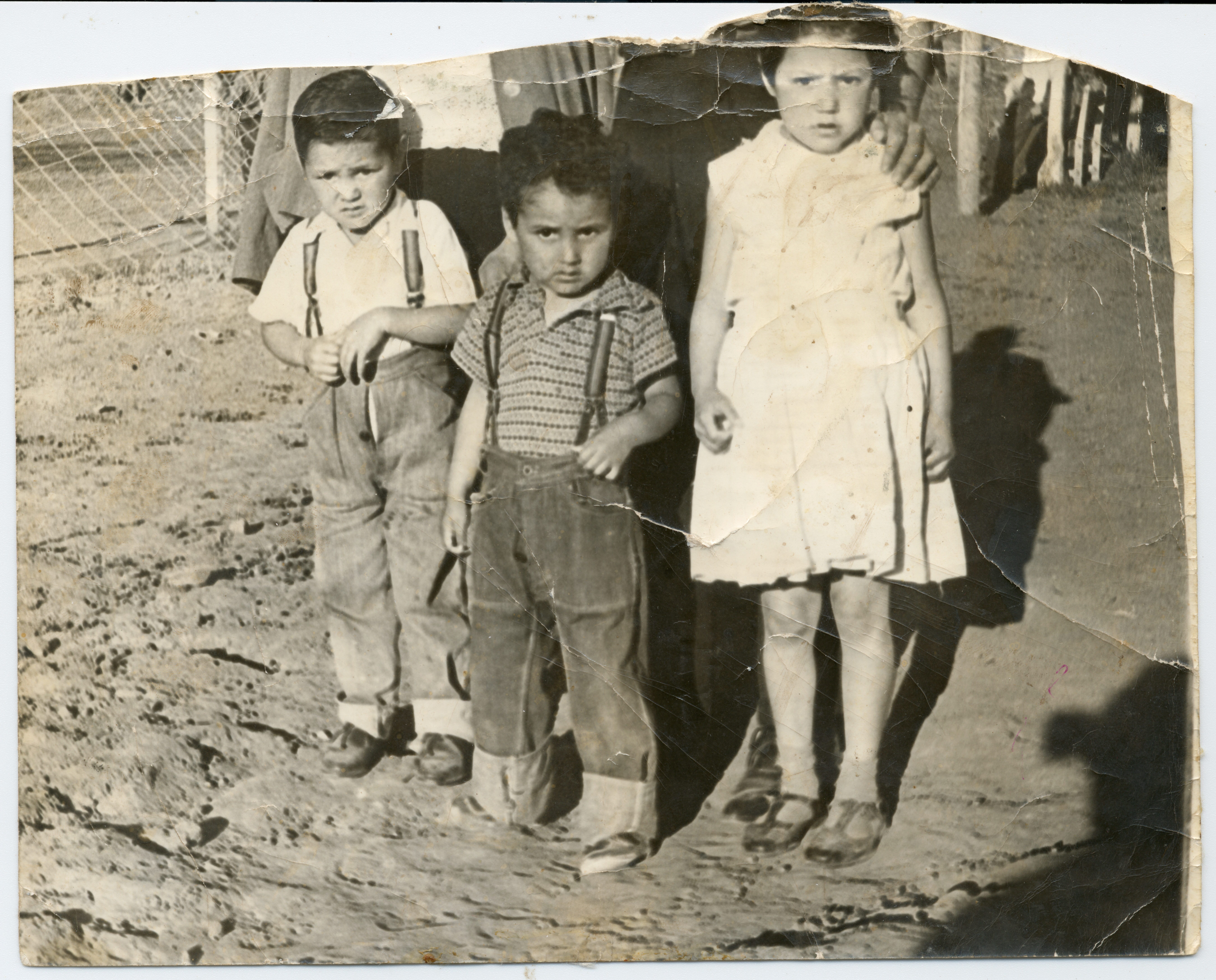 Niños Familia Ahumada Cortéz — Calle Larga — 1963 | Chile de Ayer