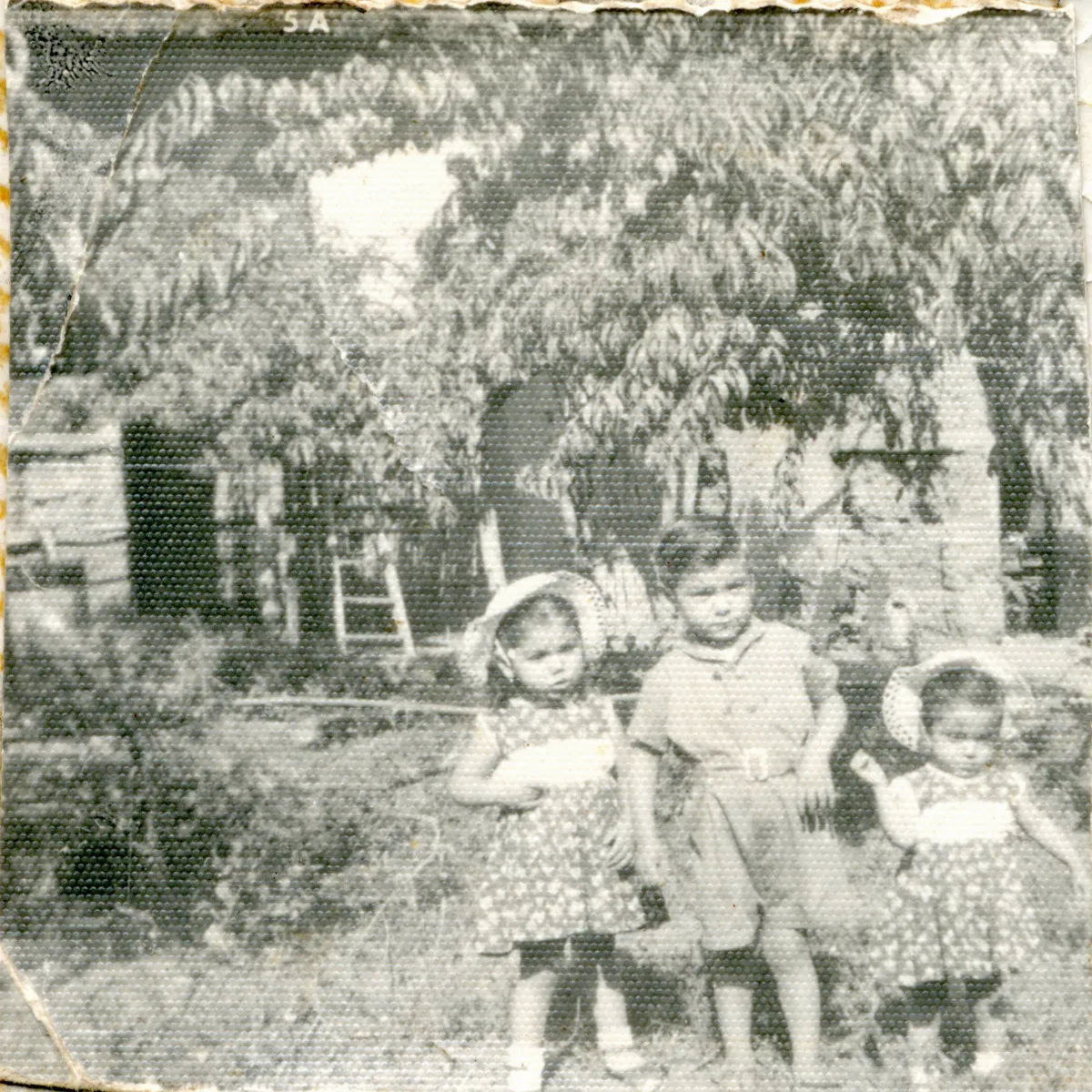 Niños Familia Fernandez Valdés — Pocuro — 1952 | Chile de Ayer