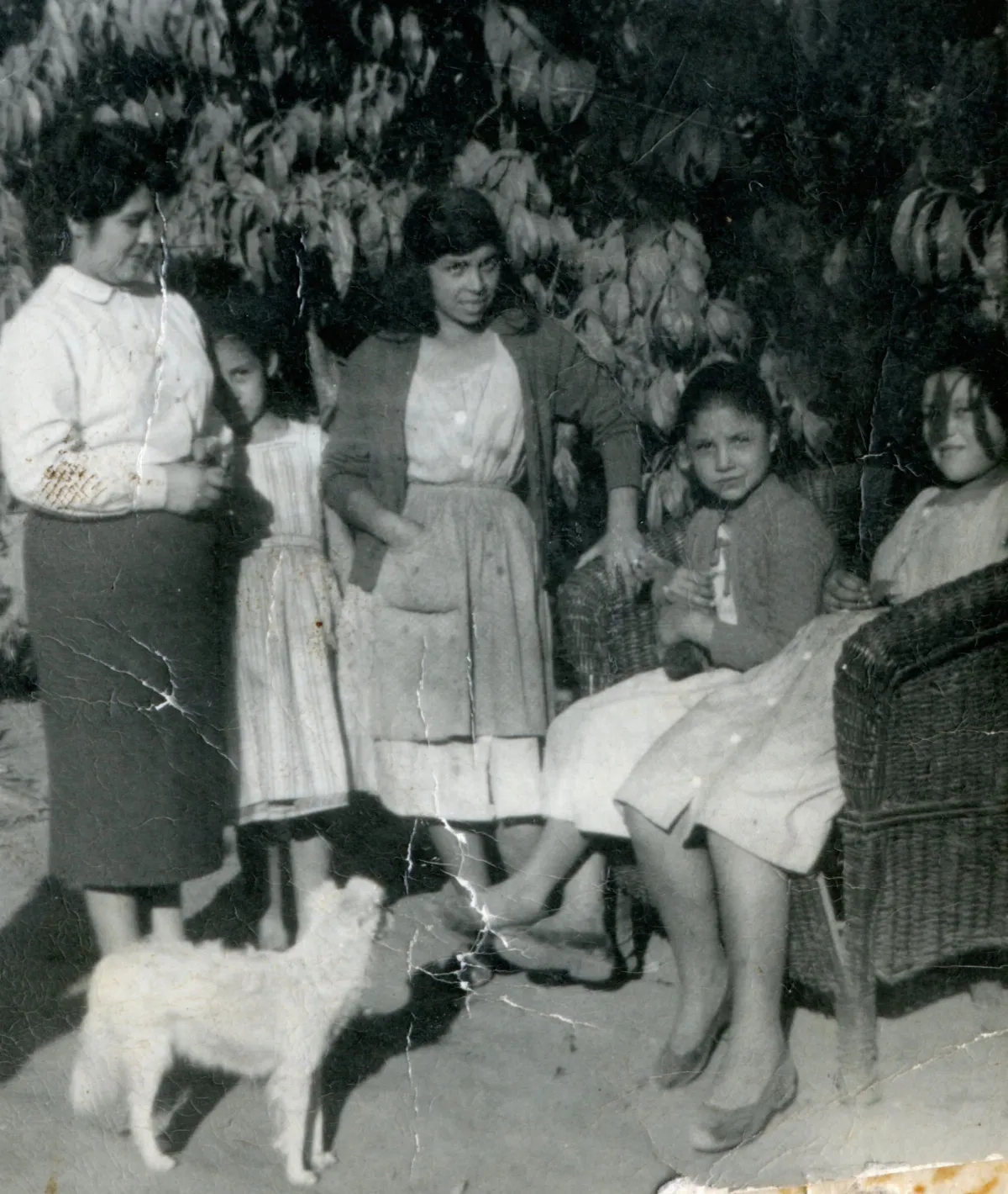 Mujeres Familia Mura León — Pocuro — 1957 | Chile de Ayer