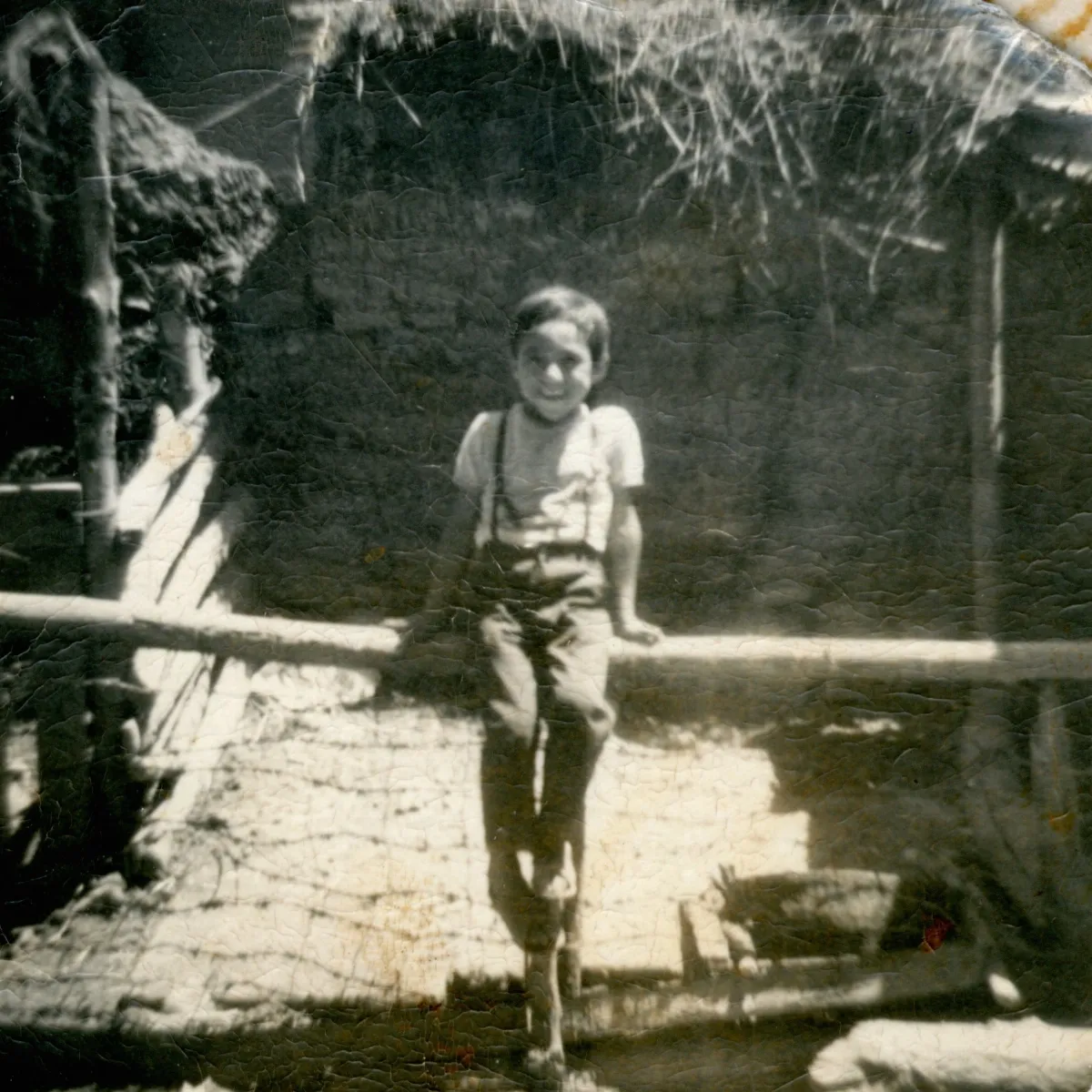 Niño sentado en el corral de animales — Pocuro — 1970 | Chile de Ayer