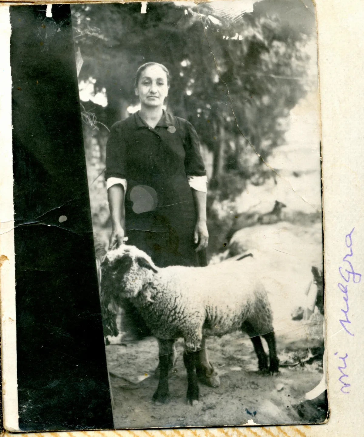 Eudocia Mauna sujetando un cordero — Calle Larga — 1958 | Chile de Ayer