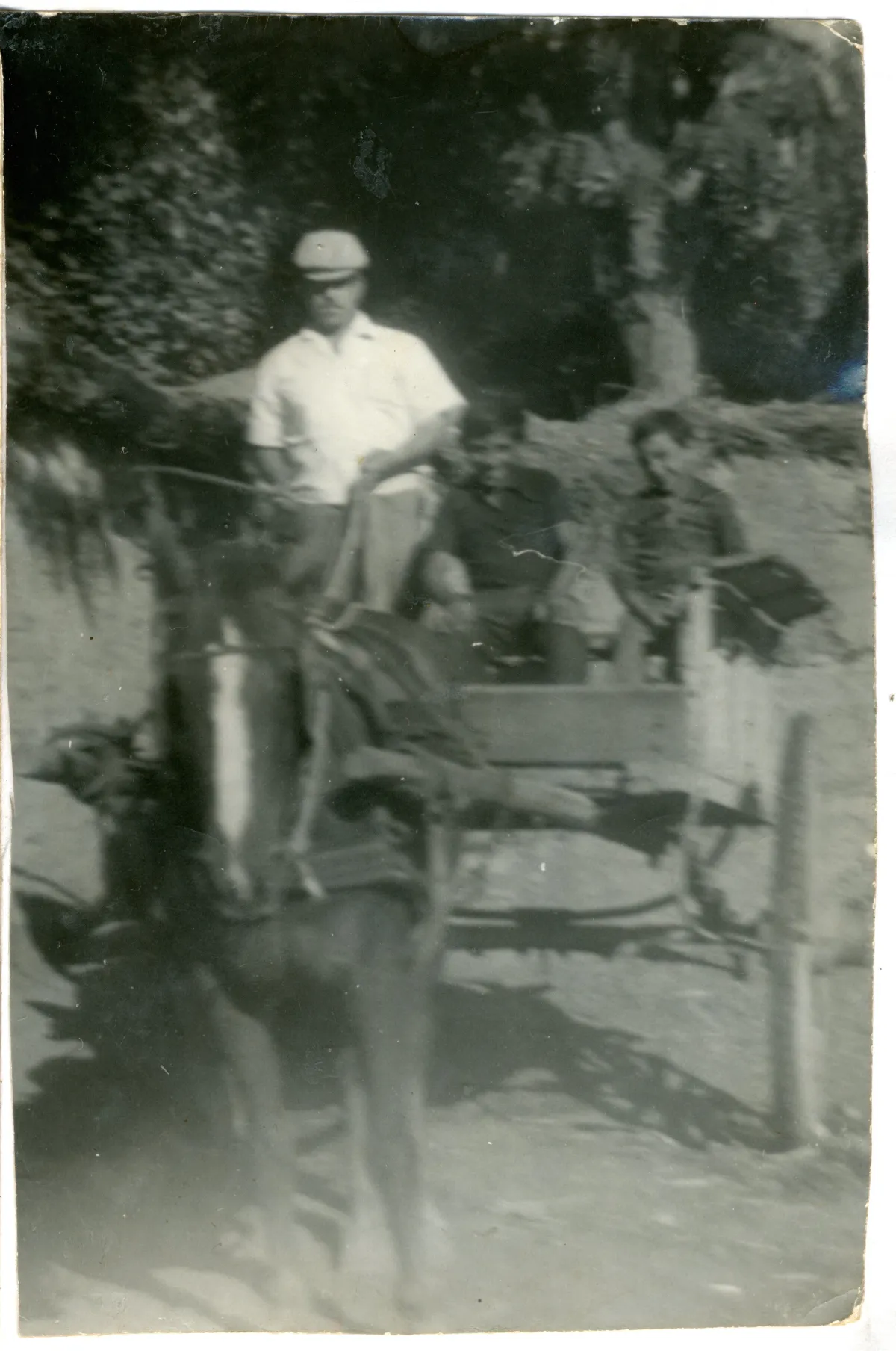 Padre y sus hijos en Caretilla — Pocuro — 1975 | Chile de Ayer