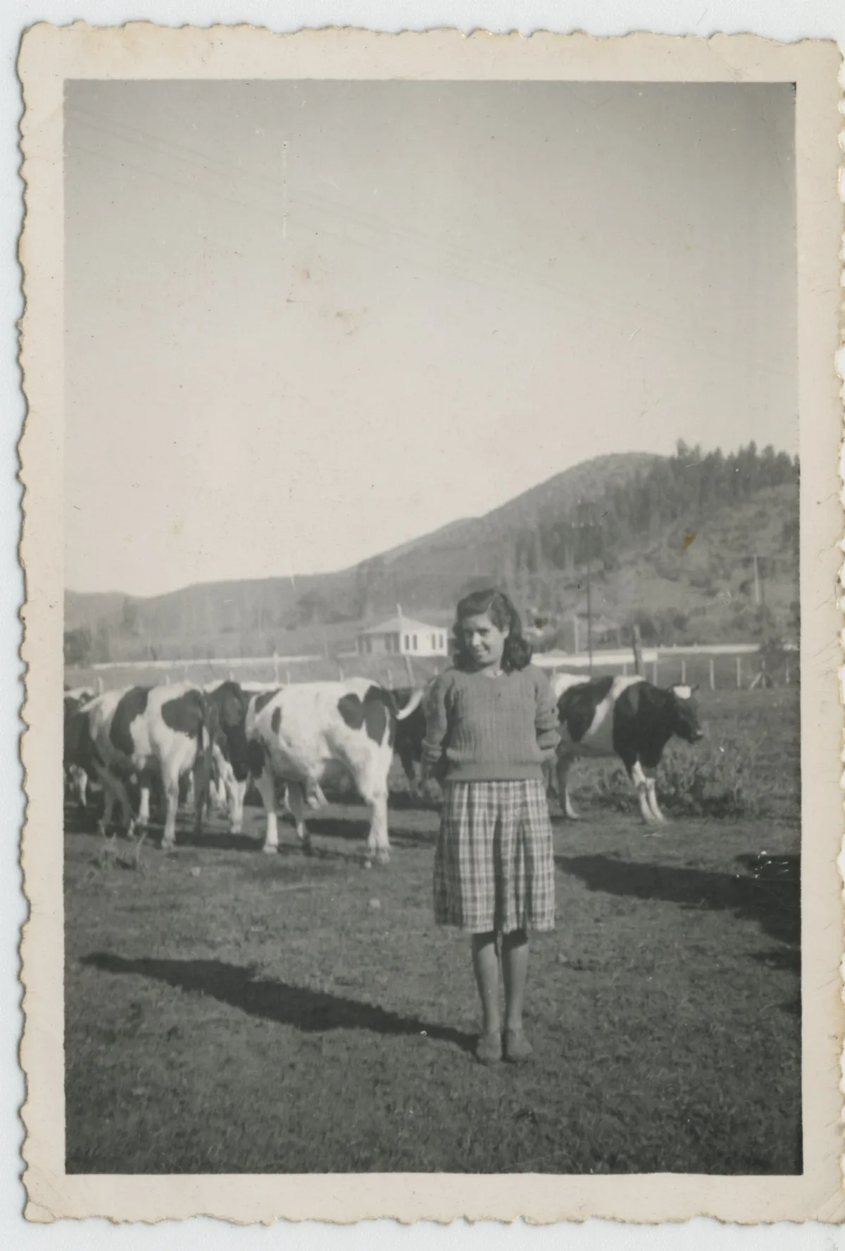María Dureaux en criaderos de la Hacienda San Vicente — Calle Larga — 1942 | Chile de Ayer