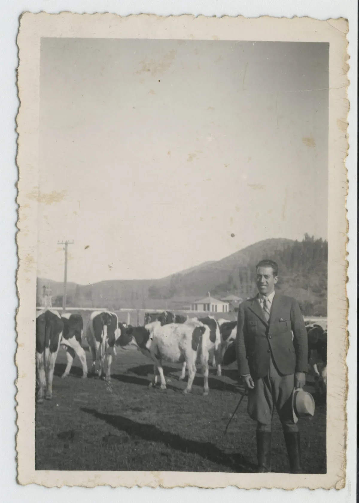 Hombre en criadero de animales de la Hacienda San Vicente — Calle Larga — 1942 | Chile de Ayer