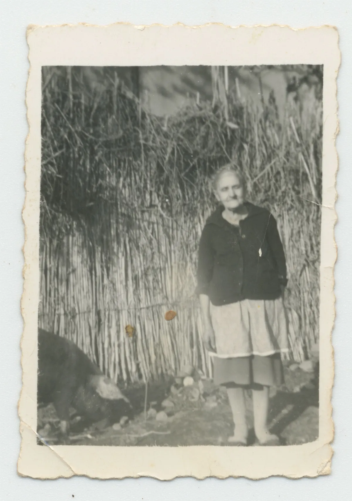 Doña Olga Mura Abarca — Pocuro — 1976 | Chile de Ayer