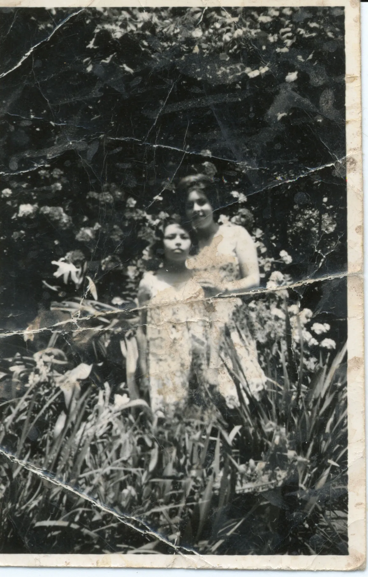 Amigas — Pocuro — 1966 | Chile de Ayer