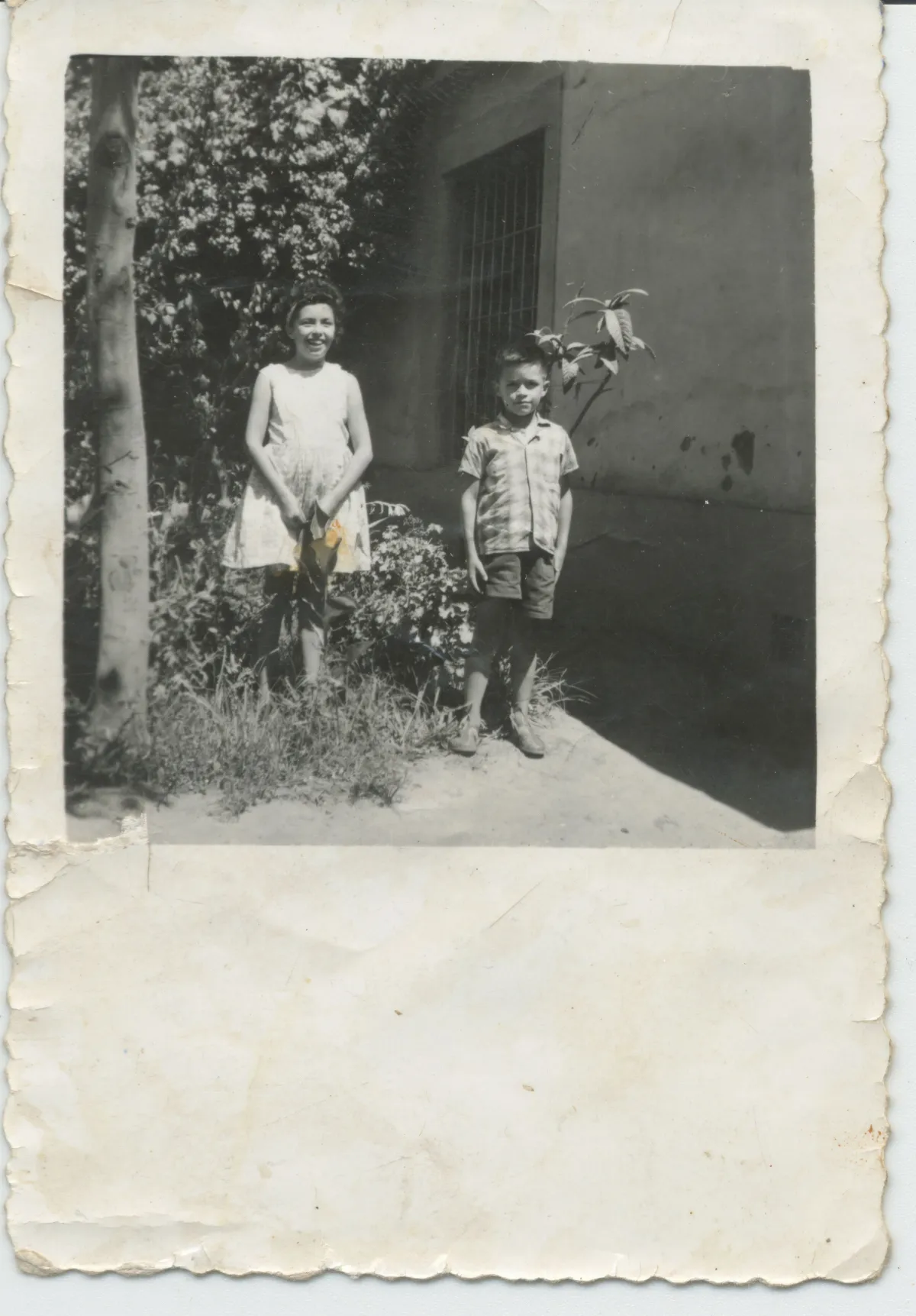 Niños con rama florada en patio de Pocuro — Pocuro — 1967 | Chile de Ayer