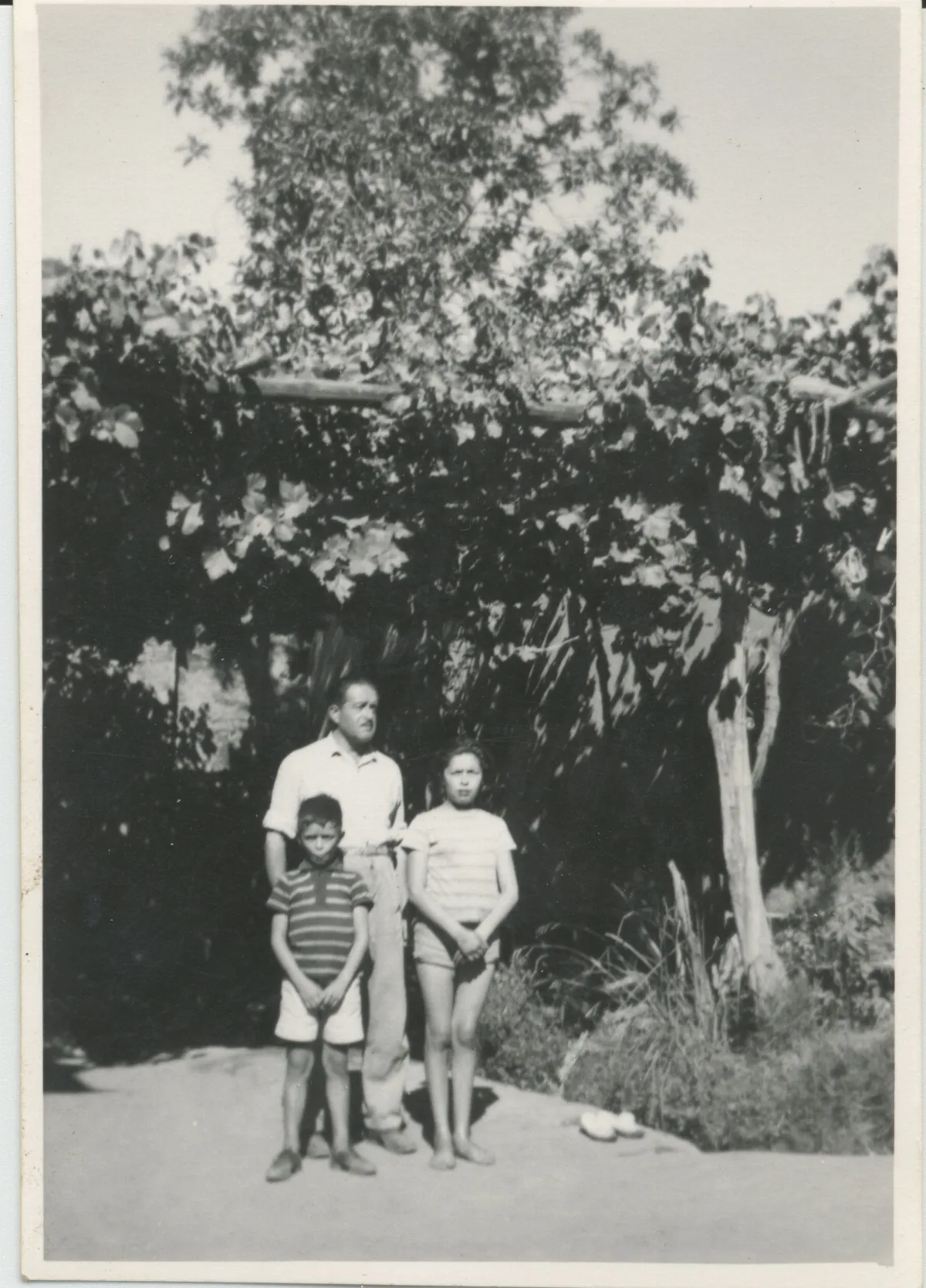Padre junto a sus hijos bajo el parrón — Pocuro — 1966 | Chile de Ayer