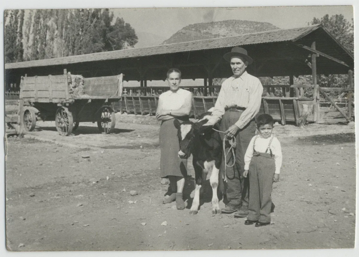 Habitantes de la Hacienda San Vicente en criadero de animales — Calle Larga — 1959 | Chile de Ayer