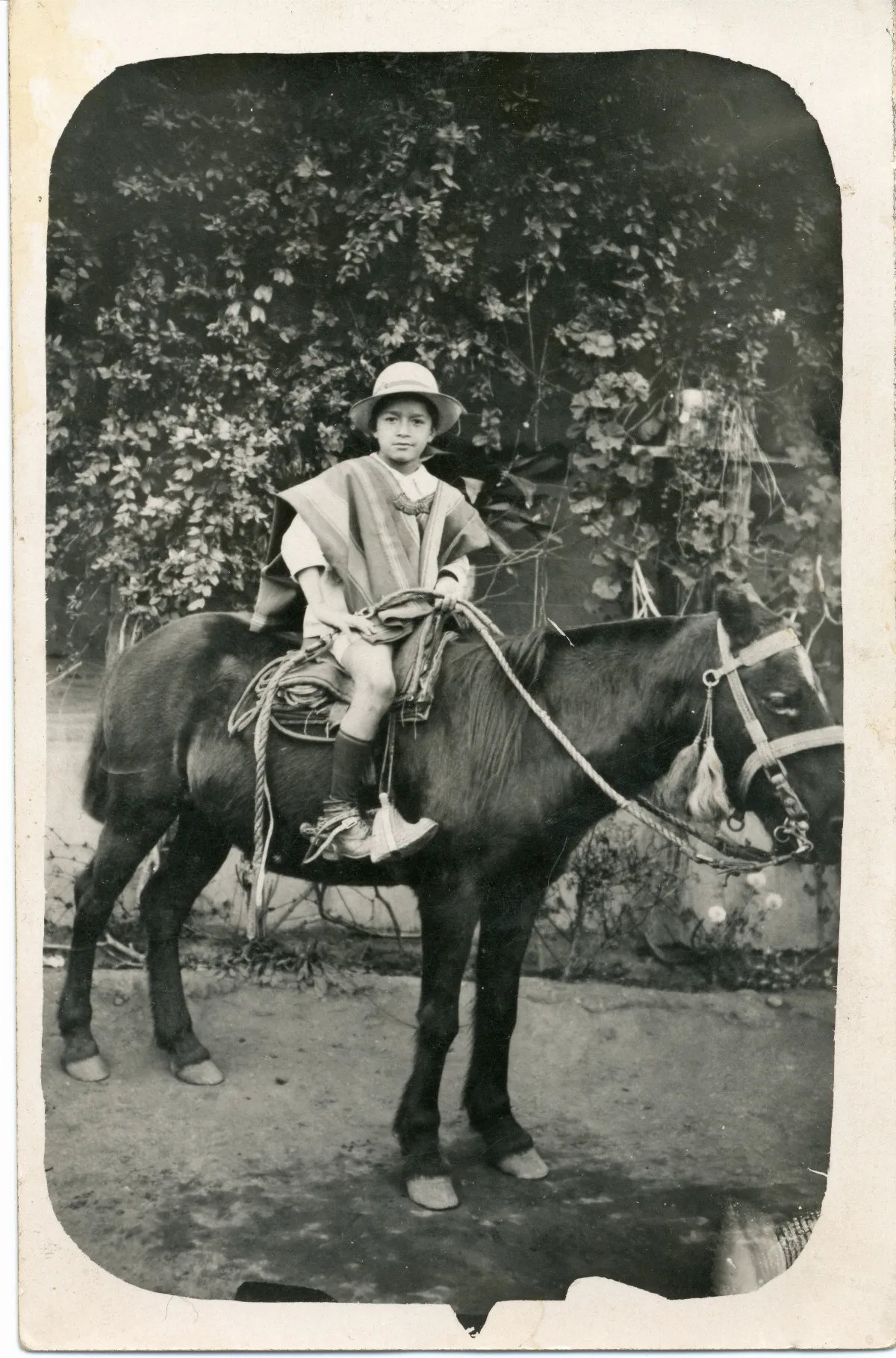 Niño montando a caballo — Calle Larga — 1920 | Chile de Ayer
