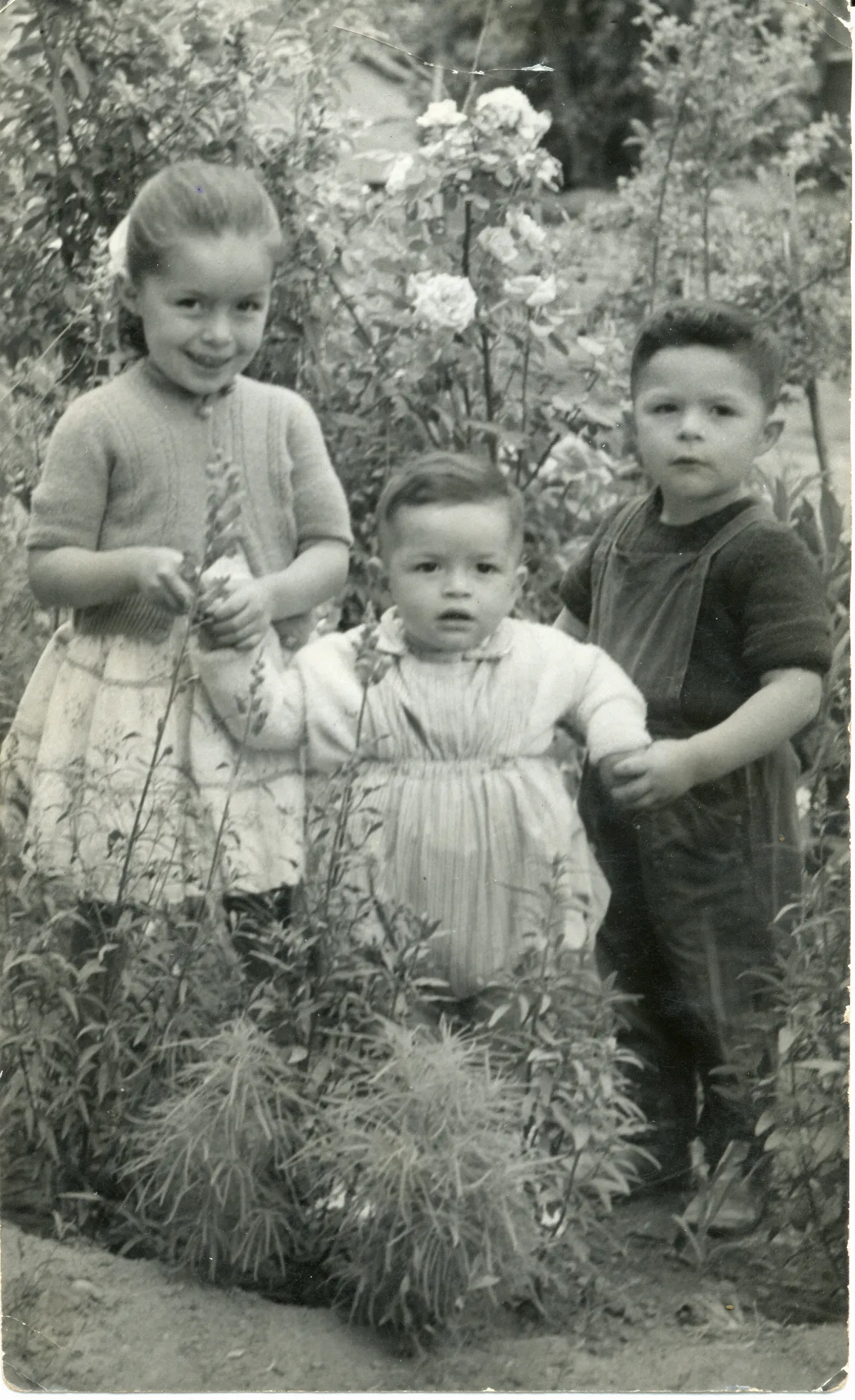 Hermanos Familia Contreras Vergara — Pocuro — 1959 | Chile de Ayer