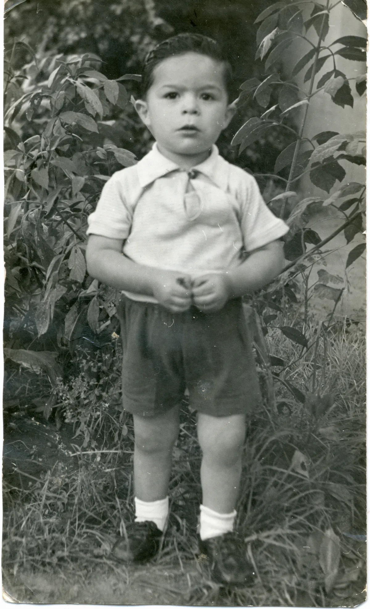 Niño en Jardín de Pocuro — Pocuro — 1959 | Chile de Ayer