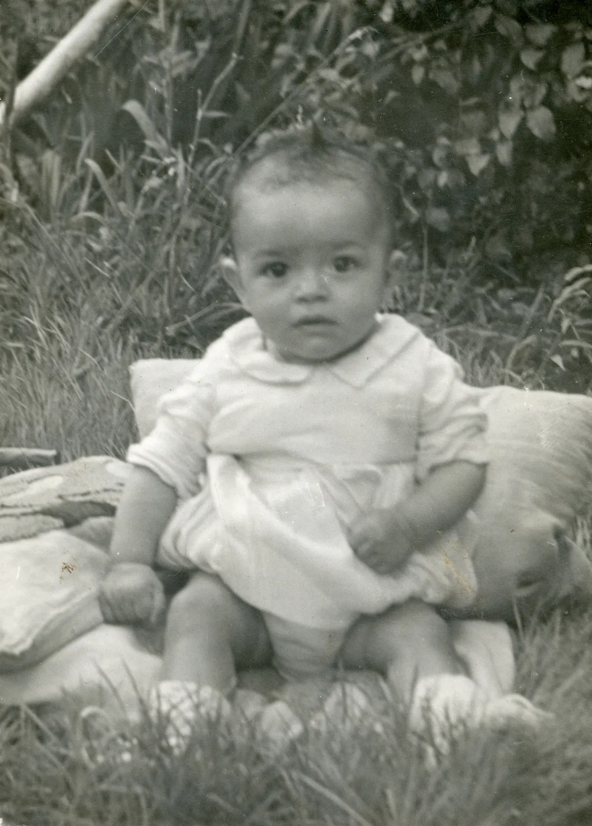 Bebé en jardín de Pocuro — Pocuro — 1954 | Chile de Ayer