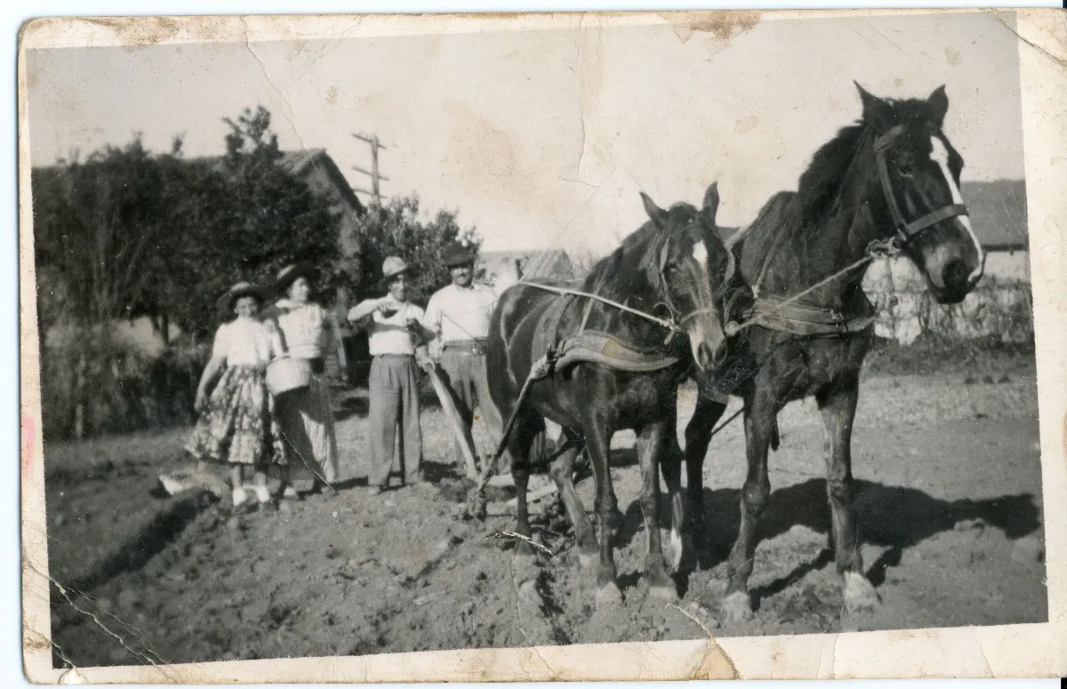 El Arado, Calle Larga, 1930