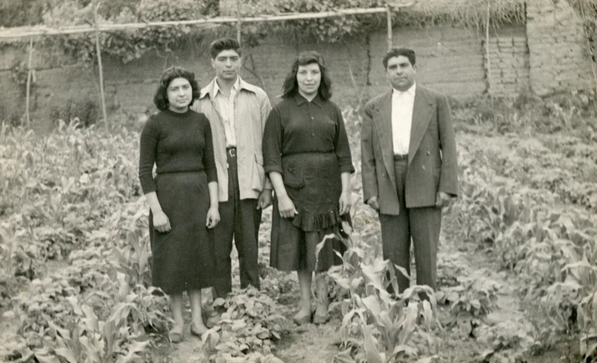 Familia en huerto de maíz, Pocuro — Pocuro — aprox. 1960 | Chile de Ayer