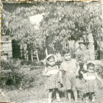 Niños Familia Fernandez Valdés — Pocuro — 1952 | Chile de Ayer