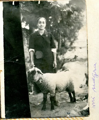 Eudocia Mauna sujetando un cordero — Calle Larga — 1958 | Chile de Ayer