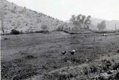 Paisaje campesino Sector La Caldera — Calle Larga — 1961 | Chile de Ayer