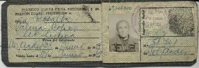 Cedula de Identidad Rosa Palma — Calle Larga — 1959 | Chile de Ayer