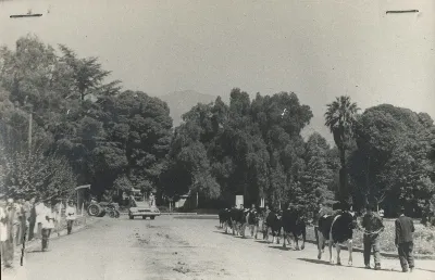 Desfile con maquinaria agrícola IAPB, Calle Larga 1954 — Calle Larga — 1954 | Chile de Ayer