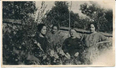 Mujeres Familia Clavijo Maturana — Calle Larga — 1900 | Chile de Ayer